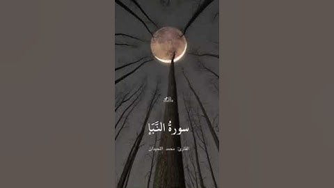 سورة النبأ جزء 4 - القارئ محمد اللحيدان