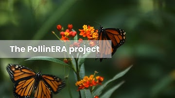 New approach to environmental risk assessment: The PollinERA project