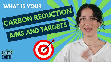 How to track your carbon emissions using the AIMS AND TARGETS section on Enistic Earth