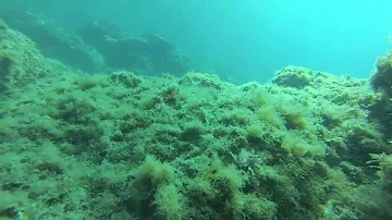 Quanto è profondo il Mar Ligure?