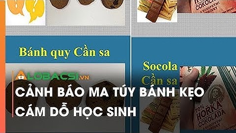 Cảnh báo ma túy bánh kẹo cám dỗ học sinh