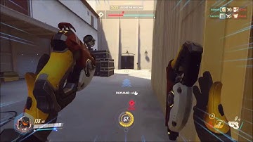 [Overwatch]  Roadhog hook bug