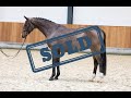 (SOLD) Samurai schooling