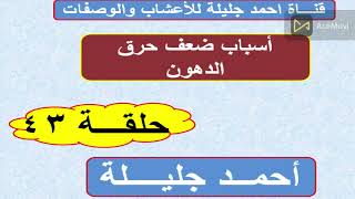 اأهم أسباب ضعف حرق الدهون  حلقة 43