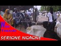 Wadial Tabaski Serigne Ngagne - Best Of