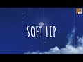 Soft Lip - Blank Check // (Vietsub + Lyric) Tik Tok Song