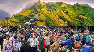 Đặc Sắc Chợ Phiên VÙNG CAO NGUYÊN ĐÁ HOANG SƠ ĐẾN LẠ | Miền núi tây bắc