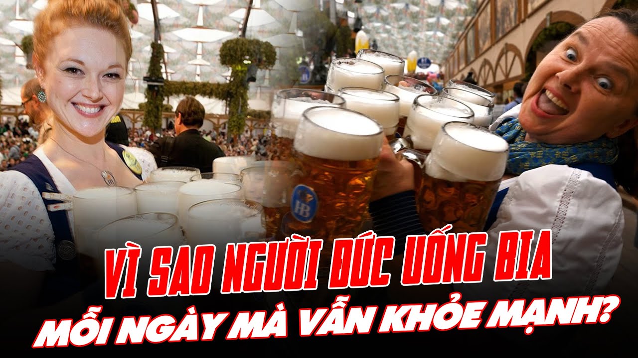 VÌ SAO NGƯỜI ĐỨC UỐNG BIA MỖI NGÀY MÀ VẪN KHỎE MẠNH? T Connect - Discovery