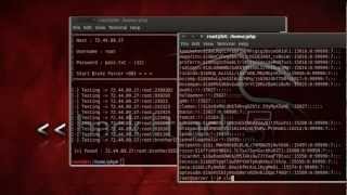 Wr00t v1.0 |  SSH Brute Forcer