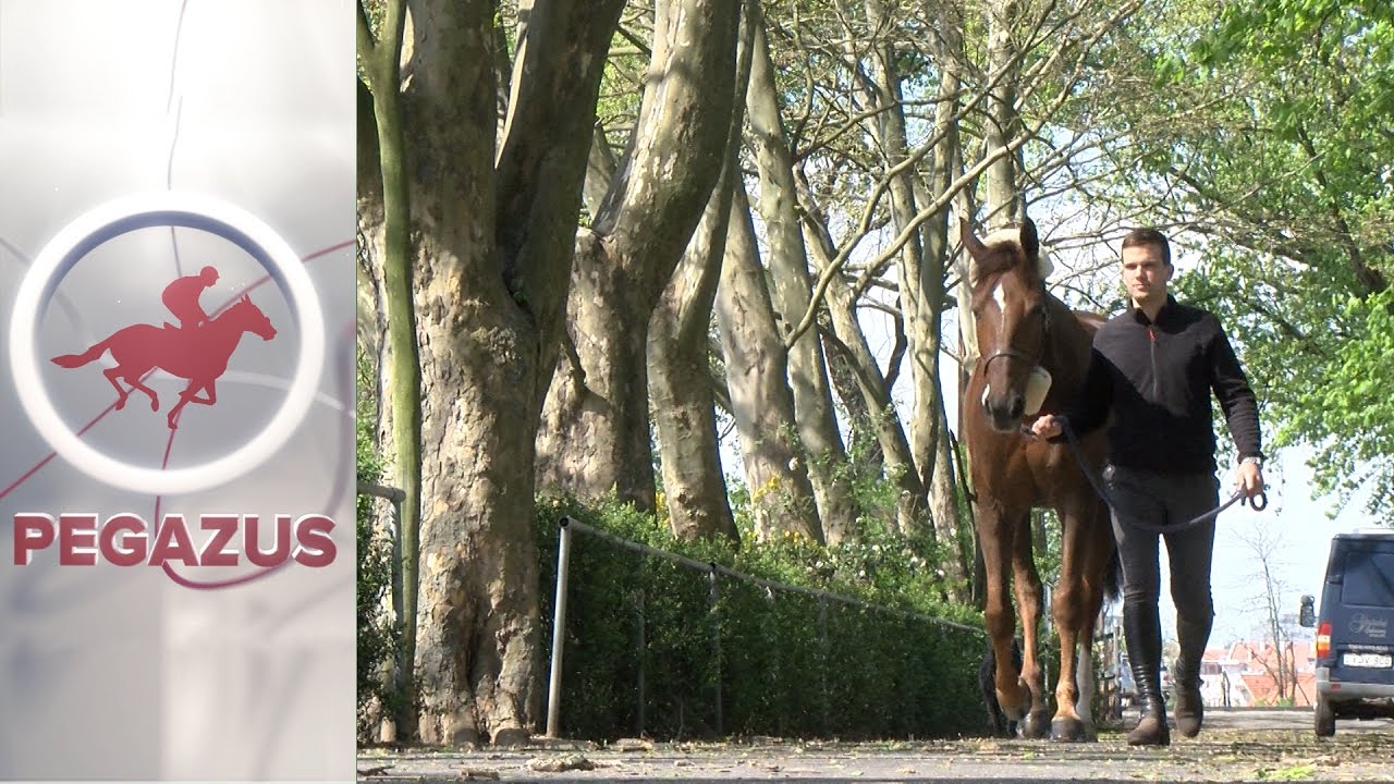 2017 május | Ifj. Szabó Gábor a világkupa döntőről | Pegazus Magazin | m4Sport