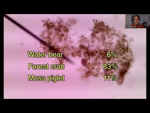 I Heart Science - HannahGavin- Tardigrades on YouTube