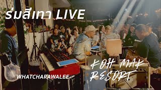 ร่มสีเทา - วัชราวลี LIVE - koh mak