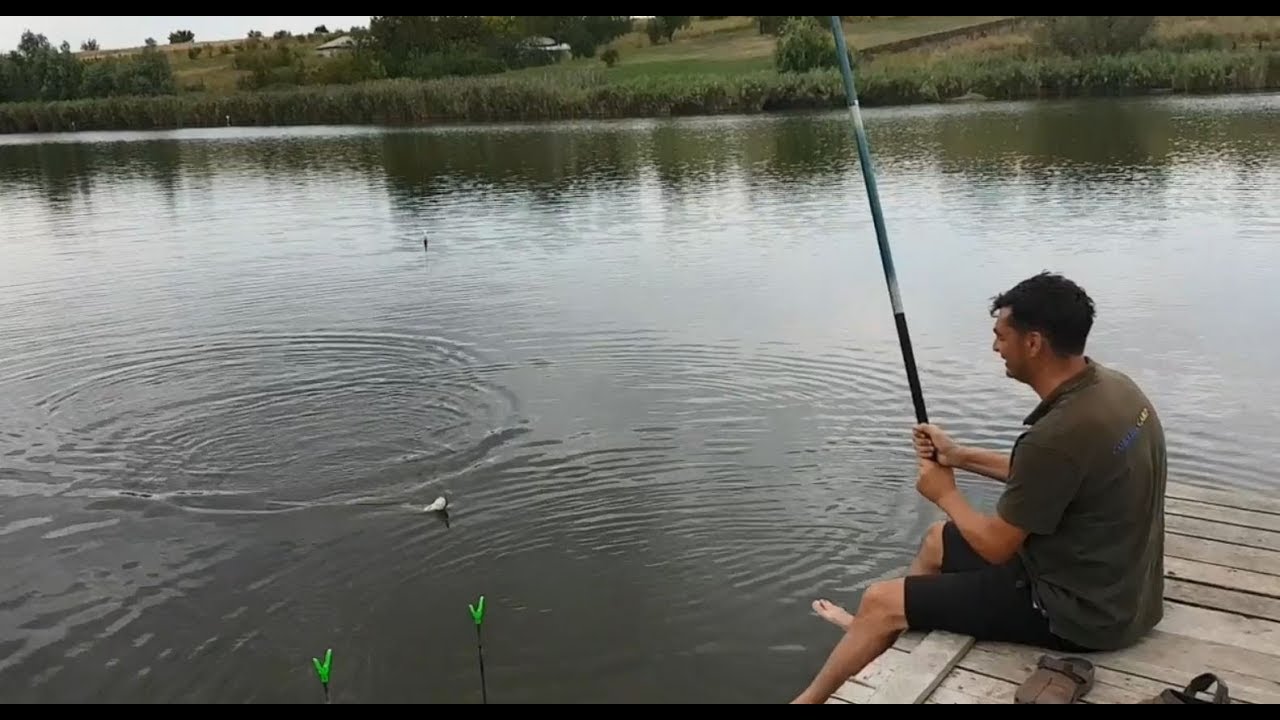 Pescuit la pluta dupa caras, crap, ten capturi frumoase Jurnalul