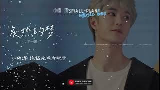 炙热的梦 | 王一博 | 却只见那些无数耀眼的橙红 是什么让你不顾伤痛 | 歌词 | Lyrics