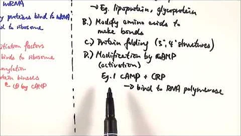 A2 Biology - Translational and post-translational gene expression control (OCR A Chapter 19.2) - DayDayNews