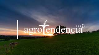 Agrotendencia, Un Mundo Increíble Por Descubrir