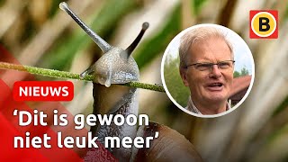 Help! Slijmerige monsters terroriseren de boel 😲 | Omroep Brabant