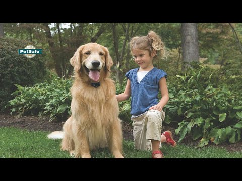 petsafe—how-to-plan-and-install-a-petsafe®-in-ground-pet-containment-system