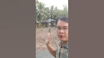 Bán nền lộ nhựa 5x28m thổ cư, giá 390tr. gần chợ Hòa Định - Chợ Gạo Tiền Giang