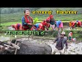 Nepali Comedy Gadbadi 114 ||Rajendra Nepali || Aama agnikumari Media