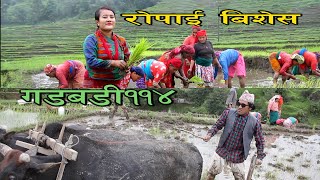 Nepali Comedy Gadbadi 114 ||Rajendra Nepali || Aama agnikumari Media