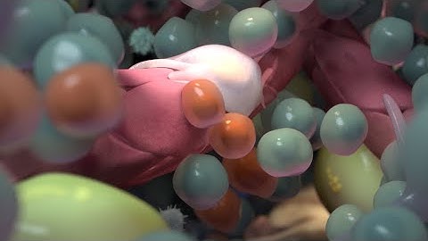 Medical Animation: Multiple Myeloma Minimal Residual Disease (MRD)