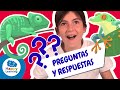 Cuestionario sobre Reptiles y Anfibios