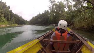 Moving from Illegal Logging to Ecotourism screenshot 1