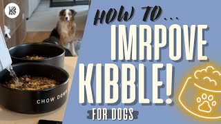 INSTANTLY UPGRADE YOUR DOG’S KIBBLE | HEALTHY KIBBLE TOPPERS FOR DOGS
