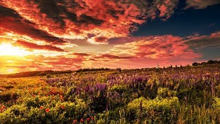 Allen Watts & Alessandra Roncone - The Hymn (Darren Porter Extended Remix)
