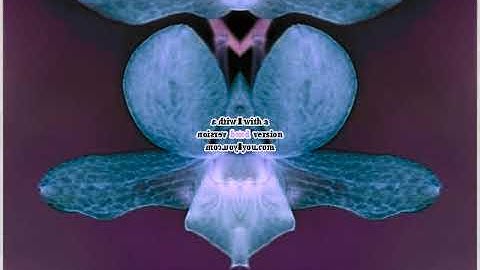 Sample Has a Conga Busher Enhanced with CoNfUsIoN Caught a Cold