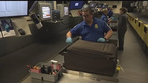 What happens to your luggage after check-in?