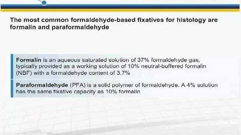 Immunohistochemistry (IHC) principles and troubleshooting
