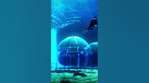 The omnidirectional wheelbot | Futuristic Inventions on Another Level  #shorts #reels #viralvideos