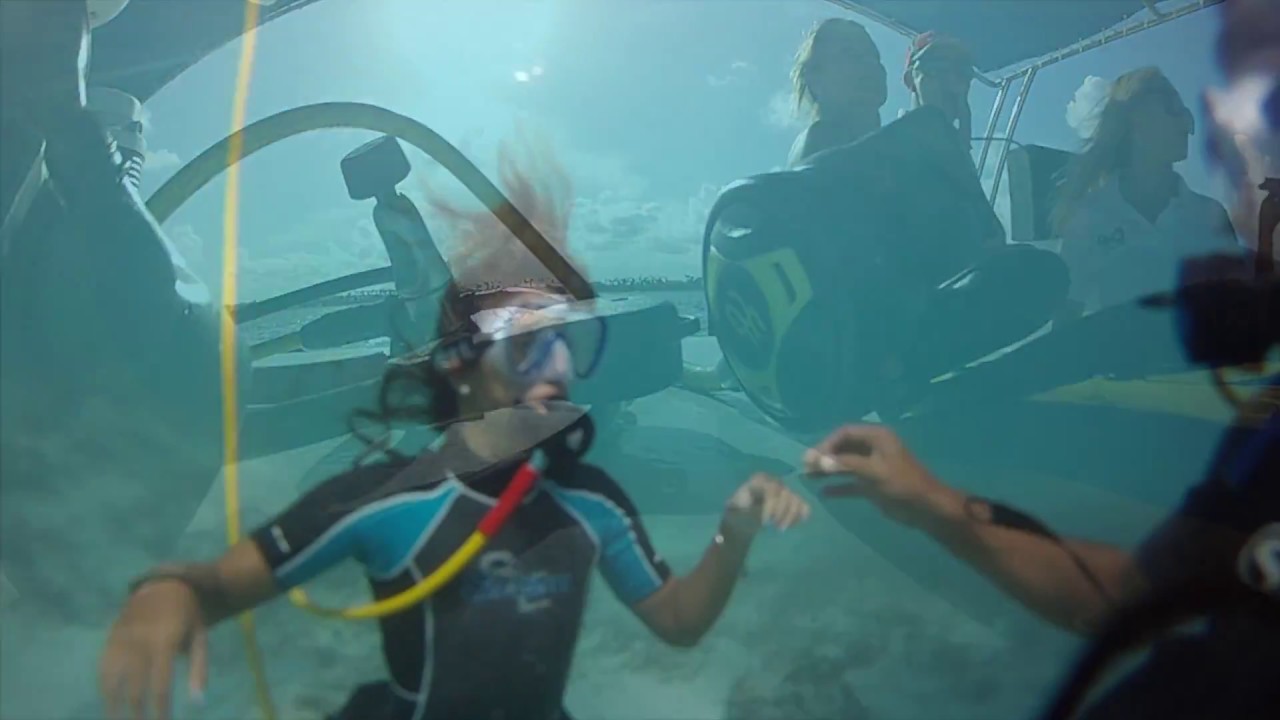 Snorkeling & Snuba Excursions in Punta Cana