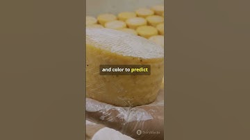 Revolutionizing Cheese Making with AI! #sciencefather #teachers #proffessor #artificialintelligence
