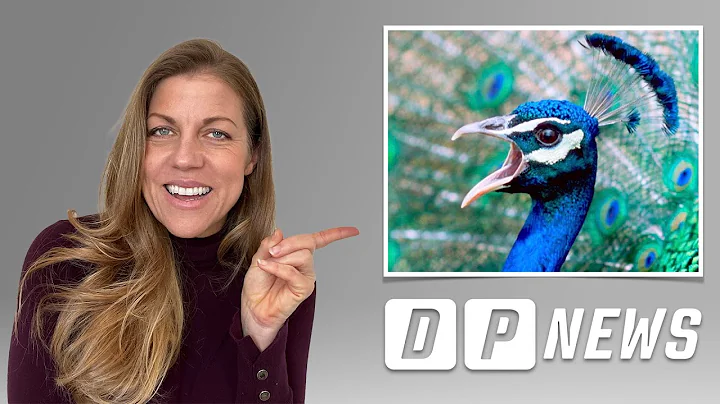 THIS WEEK IN CZECHIA: Peacocks, Putin and more