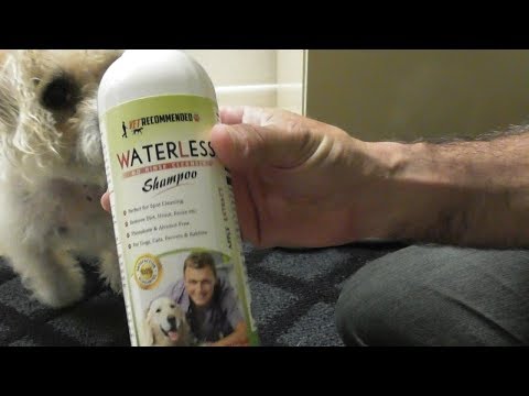 vet-recommended---waterless-dog-shampoo-review