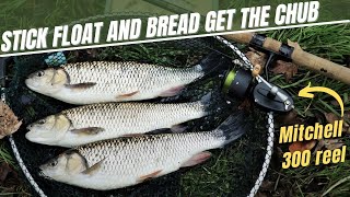 Trotting a Stick Float and Bread on the Mitchell 300 Reel for Winter Chub