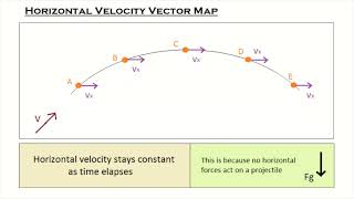 Projectile Motion Introduction (Velocity and Acceleration Vectors, Graphs )