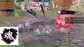[블레이드앤소울] BladeNSoul BNS 전장 6vs6 PVP 검사 201002