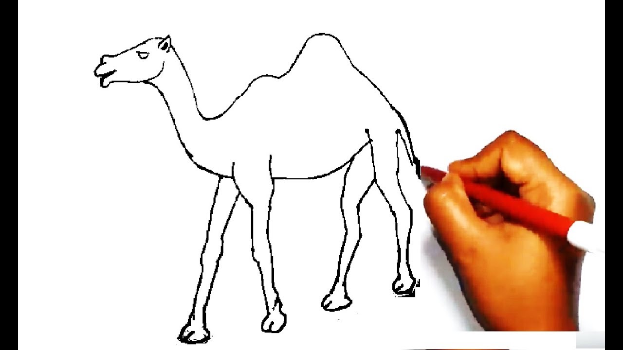 How To Draw a Camel. - YouTube