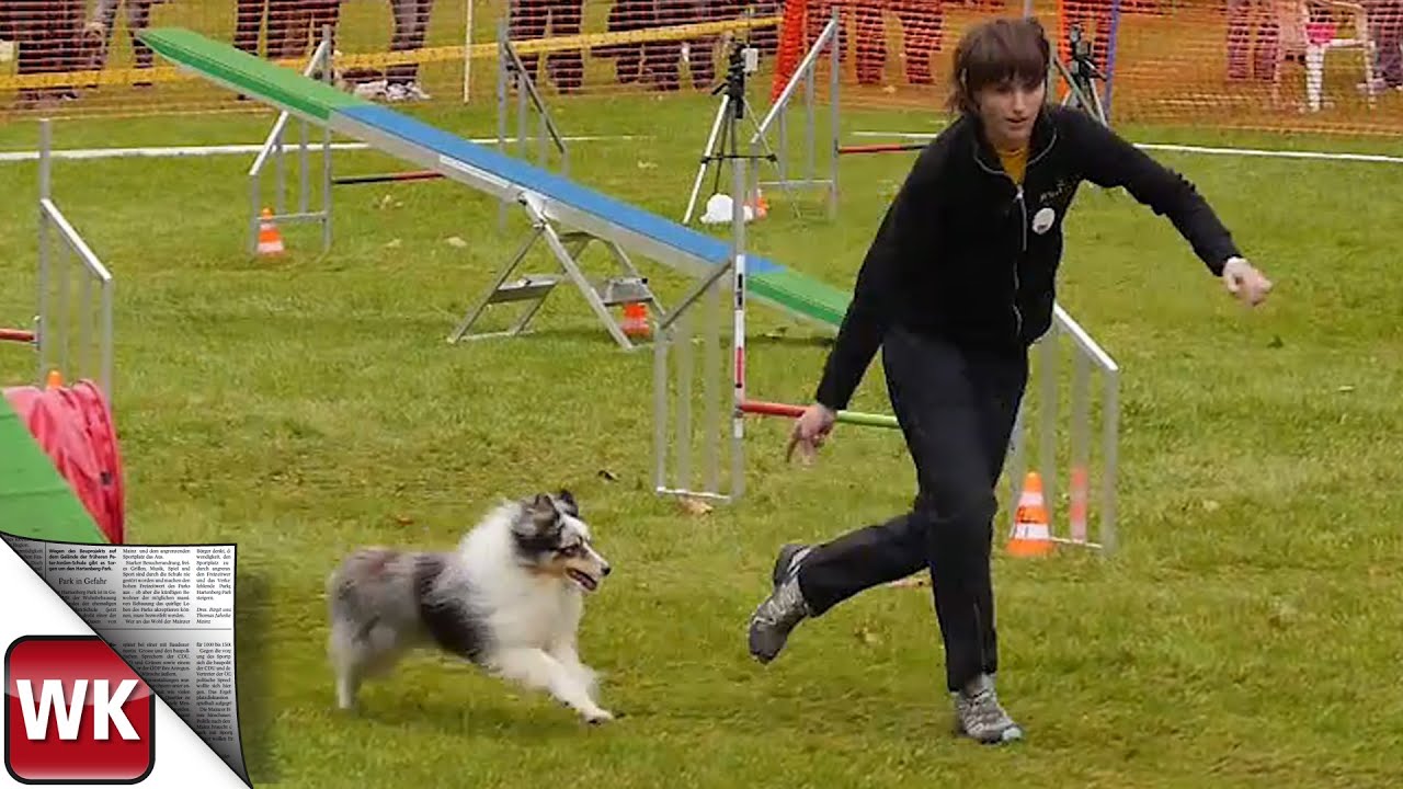 Deutsche Meisterschaft 2015 im Agility Hundesport