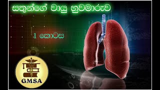 උසස් පෙළ ජීව විද්‍යාව, සතුන්ගේ වායු හුවමාරුව - 1 කොටස, by Rashmi Sandaruwani