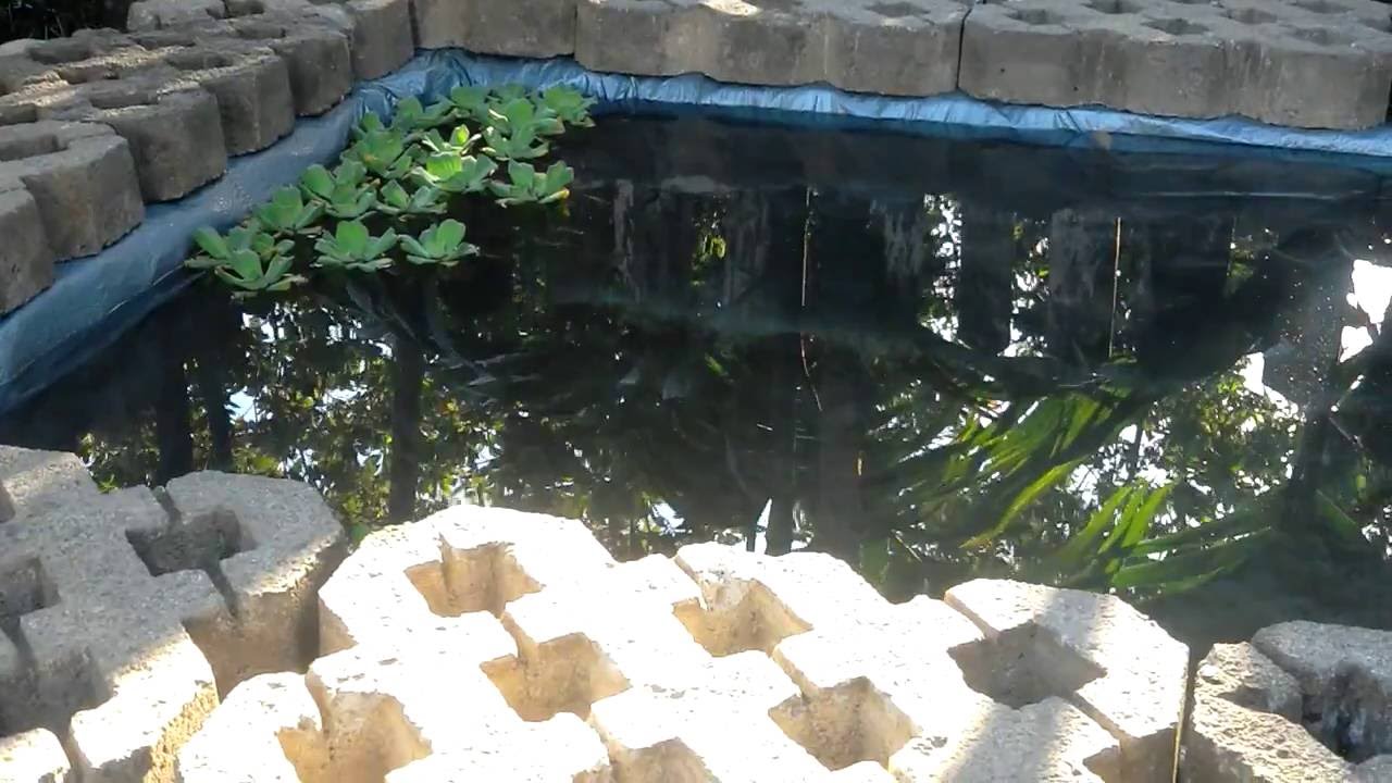 Kolam Minimalis Bening Depan Rumah YouTube