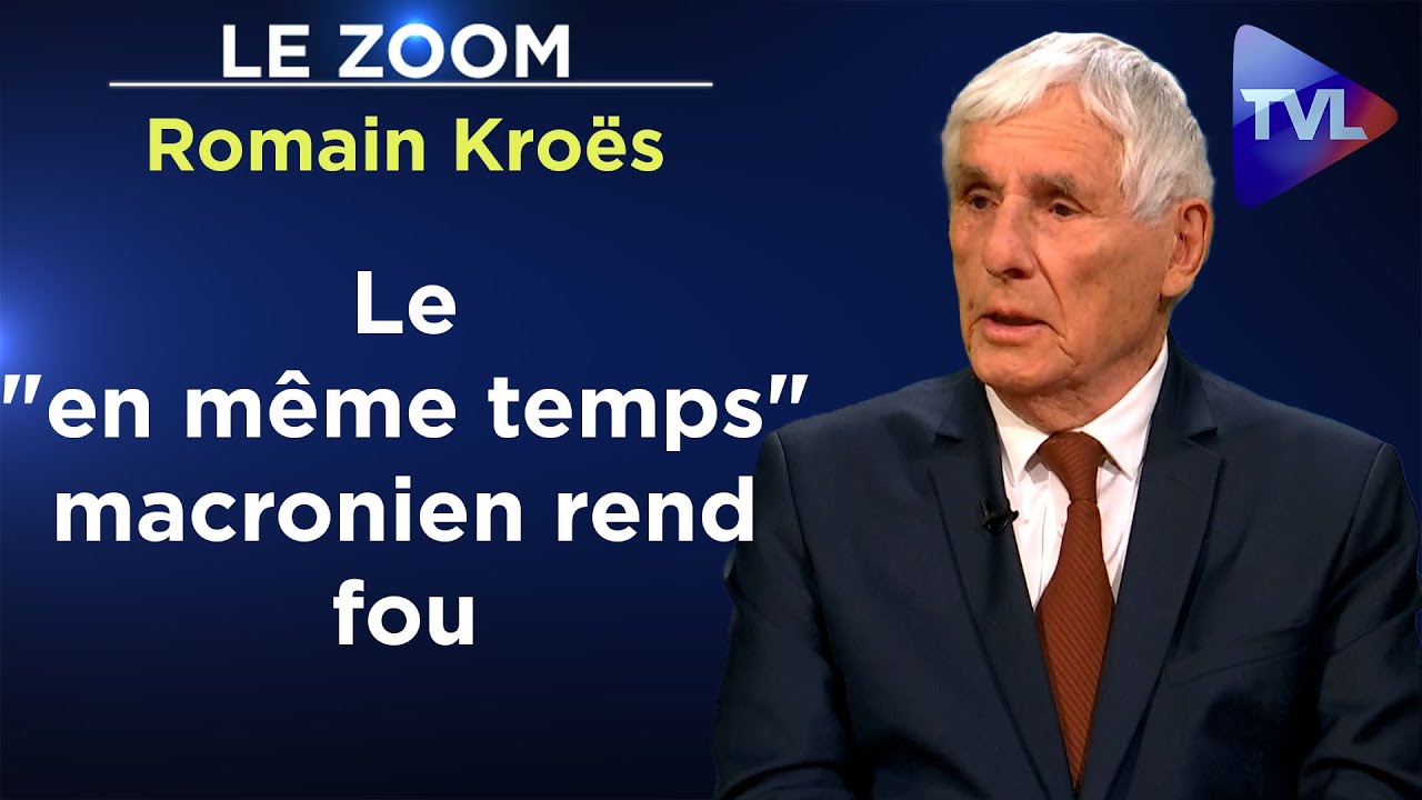 Régime des partis : des parlementaires impuissants - Le Zoom - Romain Kroës - TVL