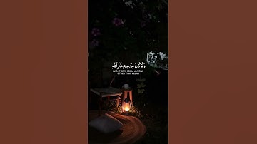 سورة النساء #سعد_الغامدي #تلاوة_خاشعة #سعدالغامدي #قرآن #foryou #اكسبلور #fyp