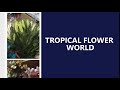 Tropical flower world  seybusiness  online business directory in seychelles  promo