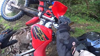 Trail riding in Devon, thrills and spills