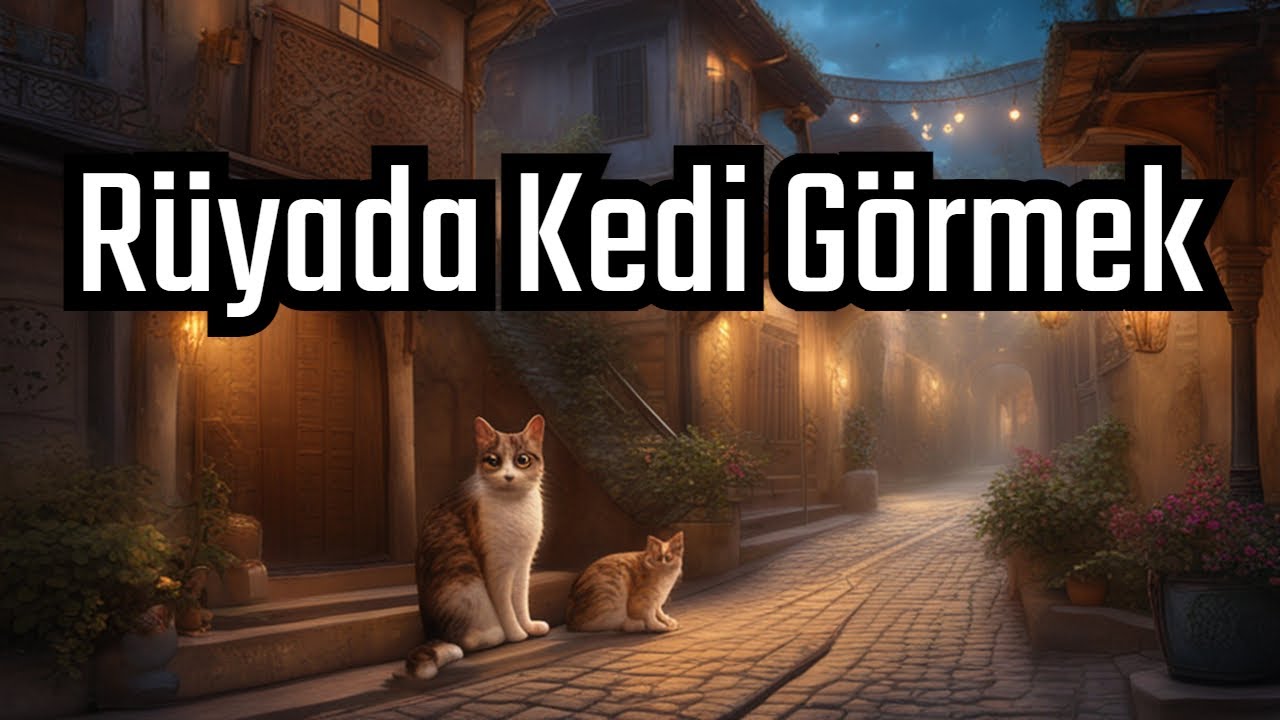 Ruyada Kedi Gormek Yorumu Yorum Ruya Ruya Yorumu